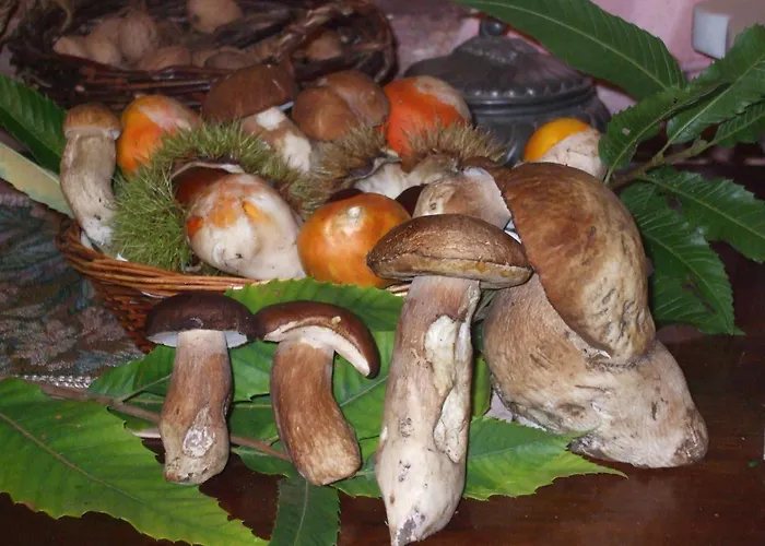 Villa con piscina: Agriturismo Nonno Tobia